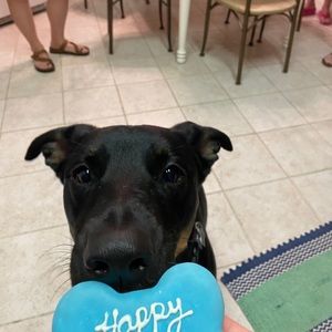 Meet your Posher, Brett